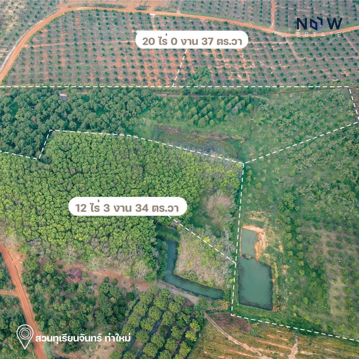 ที่ดินสวนทุเรียนท่าใหม่